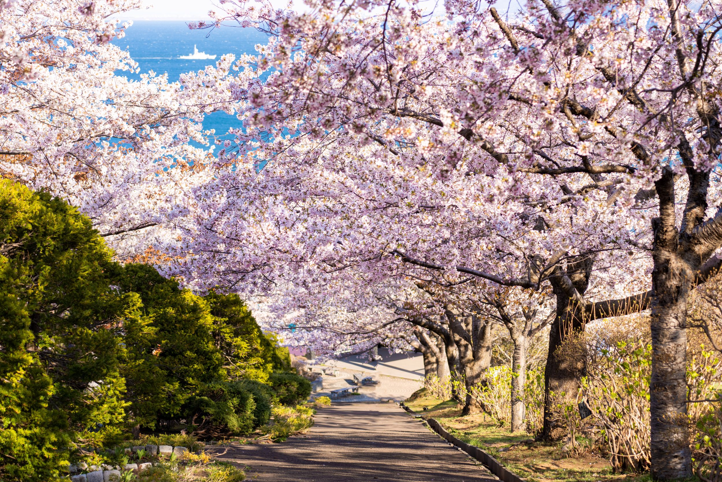 札幌近郊バスツアー